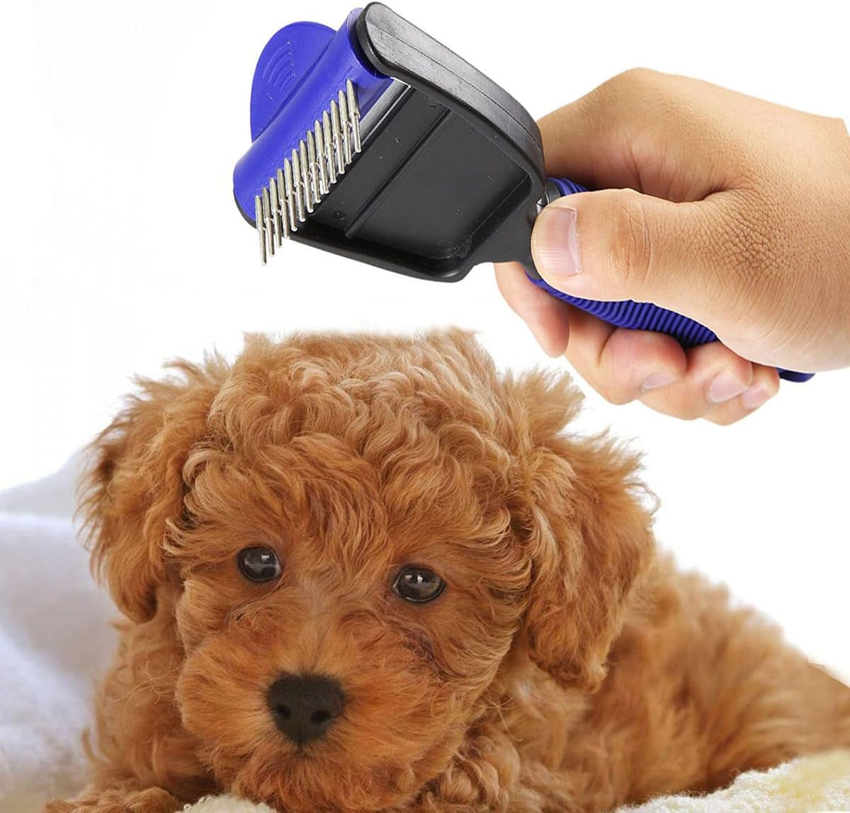 Deshedding and Grooming Tool for Dogs, Cats, and Horses: Versatile Undercoat Rake, Brush, and Comb