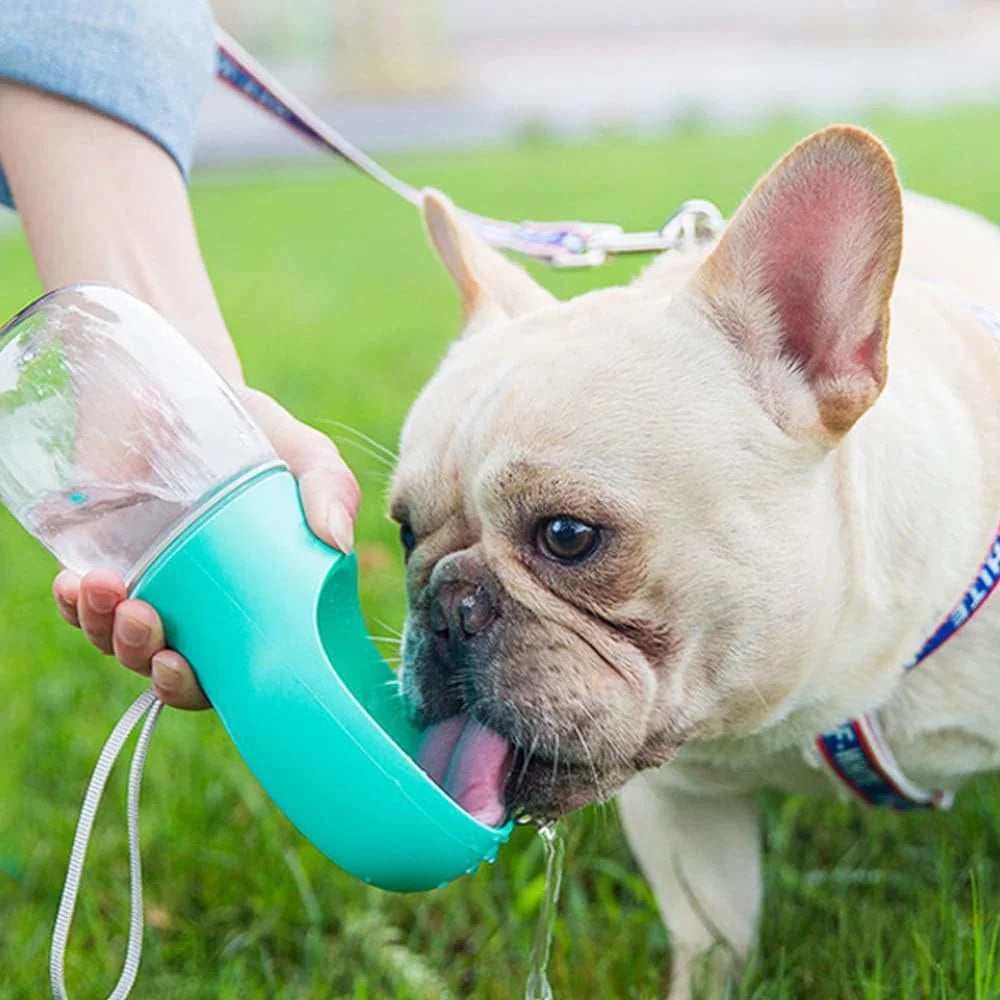 8.3 x 2.5-Inch Dog Water Bottle, 12 oz Leak-Proof Portable Pet Water Dispenser with Drinking Feeder for Outdoor Activities, Made from Food-Grade Plastic - Blue